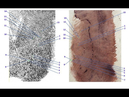 Consulenti della difesa di Sempio: 'L'impronta 33 non è la sua'