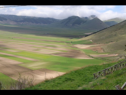 Per il grande caldo niente fioritura a Castelluccio di Norcia