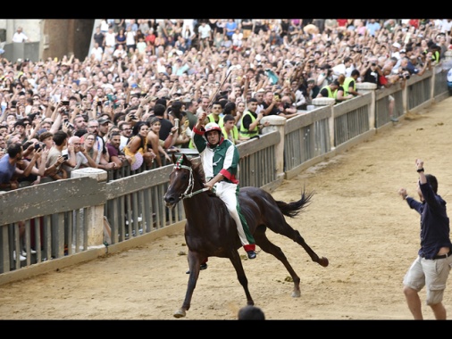 Palio di Siena, vince la contrada dell'Oca