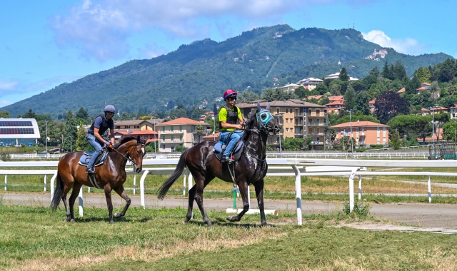 Bettole, lavori da fare entro il 14 luglio