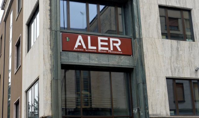 Allarme a Moriggia, «ma non è processionaria»