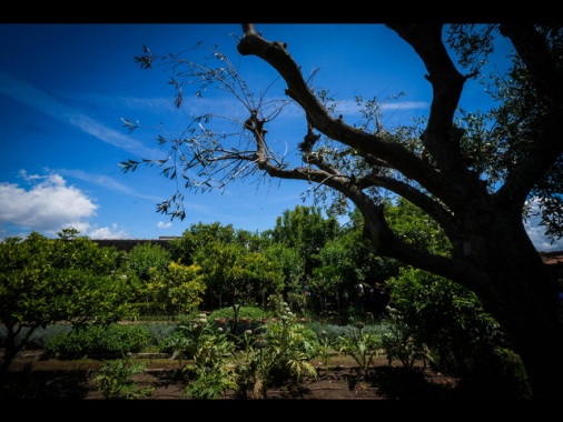 Istat, Italia arranca sullo sviluppo sostenibile, accelerare