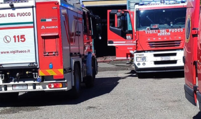 Fiamme in casa: morto il cane