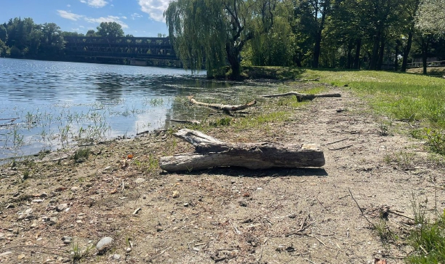 Degrado sul lungofiume a Sesto: «Detriti e trascuratezza»