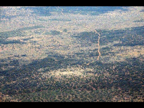 Tedesca trovata viva dopo 12 giorni da sola nel bush australiano