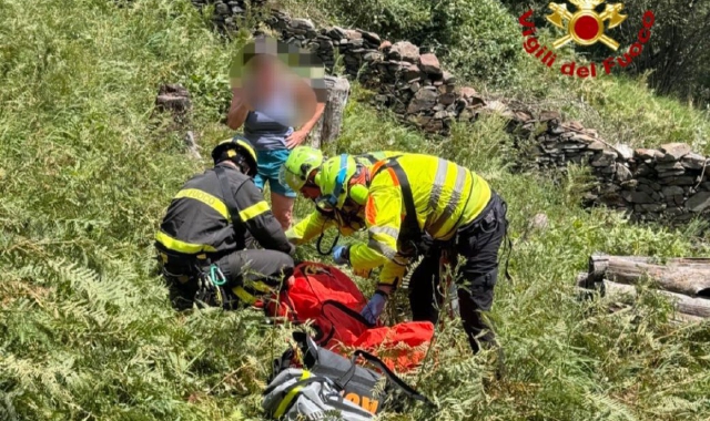 Schiacciato da una pianta, soccorritori allertati dalle urla