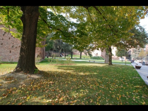 Rissa con coltelli e cocci bottiglie, ucciso un ragazzo a Rovigo