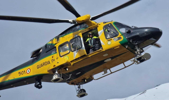 Un branco di lupi ha attaccato l’allevatrice e il suo gregge in alpeggio (foto Archivio)