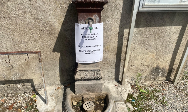 Calabroni al cimitero, chiusa la fontanella