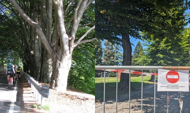 A sinistra l’alberata di Levo di Stresa, a destra l’area transennata a Taino