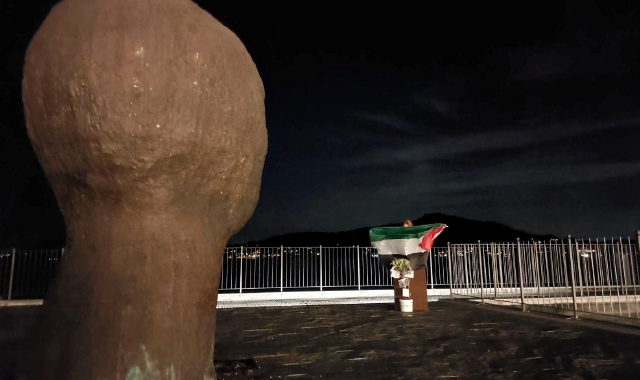 L’ulivo e la bandiera della palestina a Meina