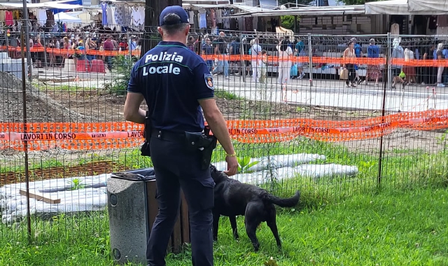 Luino più sicura grazie a Zorro