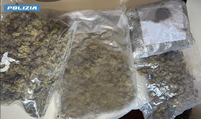Tre chili di marijuana nel garage di un'anziana
