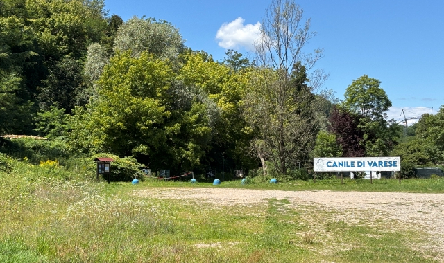 Il parere positivo degli enti locali sull’impatto ambientale del nuovo canile-gattile di Varese non piace ai residenti