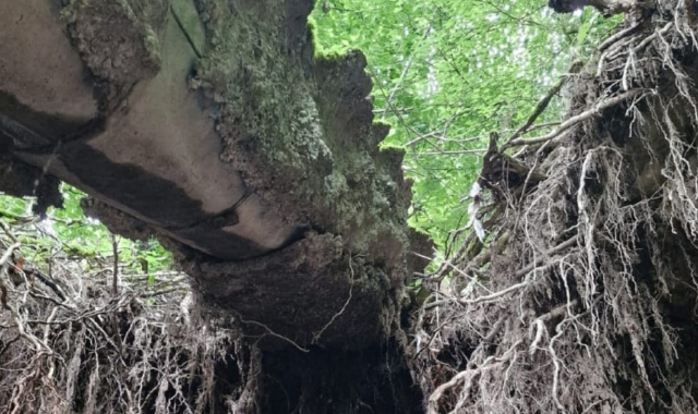 Un’immagine dello smottamento che ha reso necessario chiudere un senso della strada fra Solbiate con Cagno e Cantello