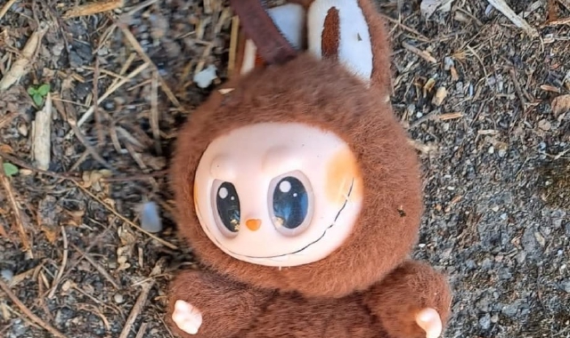 Busto Arsizio: il giallo del peluche ritrovato