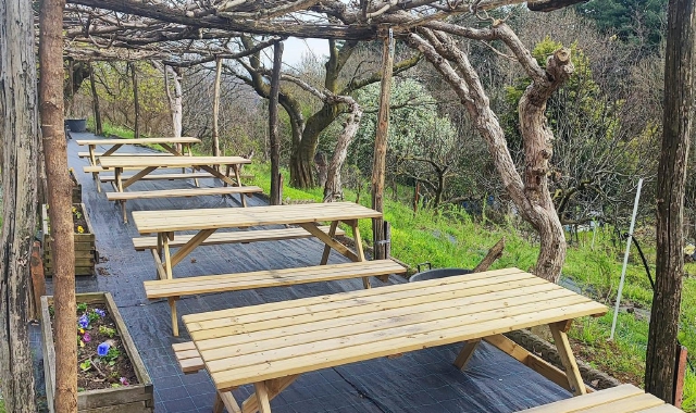 Insubria Moving: due giornate per star bene, per davvero