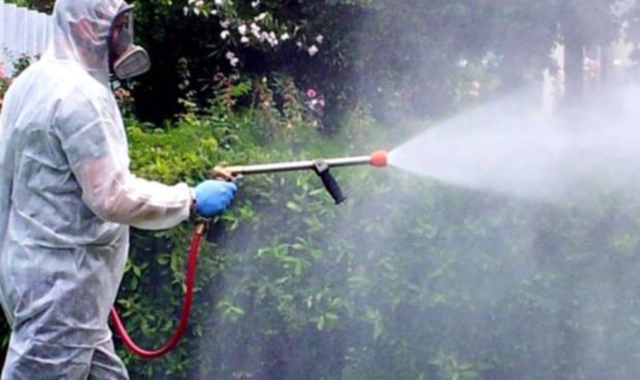 Allarme Dengue a Busto Arsizio: via alla disinfestazione
