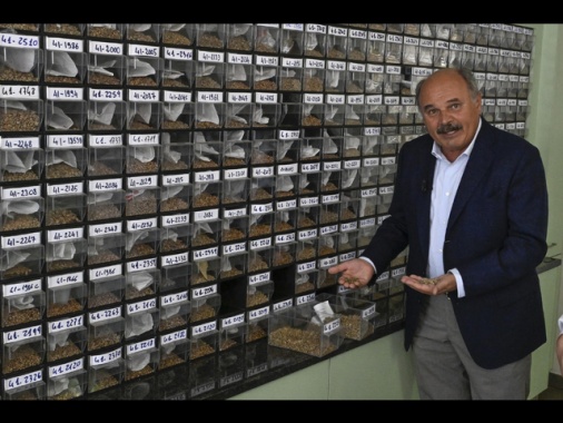 Aumento di capitale da 75 milioni in 2 tranche per Eataly