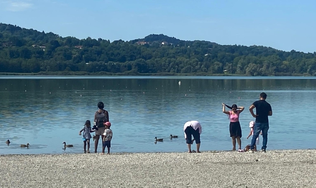 Nei giorni scorsi anche il Comune di Varese aveva posizionato avvisi di divieto di balneazione alla Schiranna (foto Blitz)
