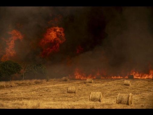 Salgono a 37 gli arrestati per i roghi che sferzano la Spagna