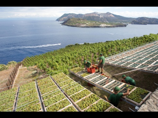 Sefcovic, 'purtroppo su dazi a vino non ancora accordo'