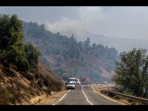 Incendi boschivi, 51900 interventi vigili fuoco da metà giugno