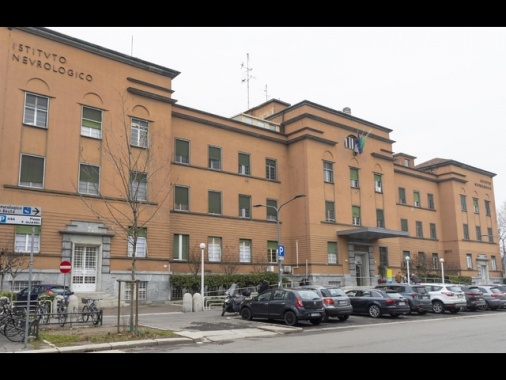 Nuova arma contro il glioblastoma, cellule su misura