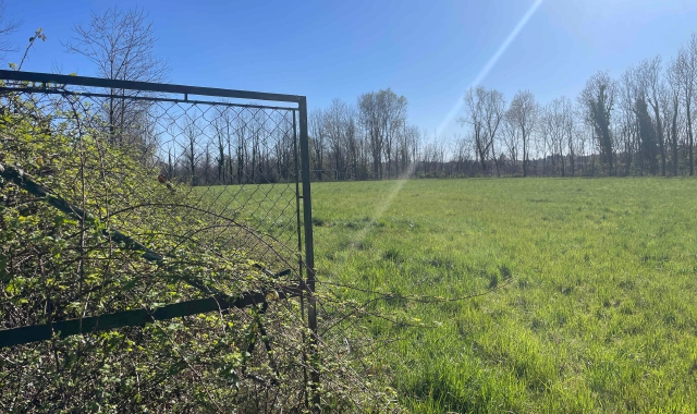 L’area di via Duno dove dovrebbe sorgere il nuovo canile di Varese (foto Blitz)