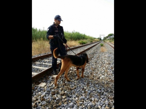 Giovane 18enne trascinata in area verde e abusata nel Milanese