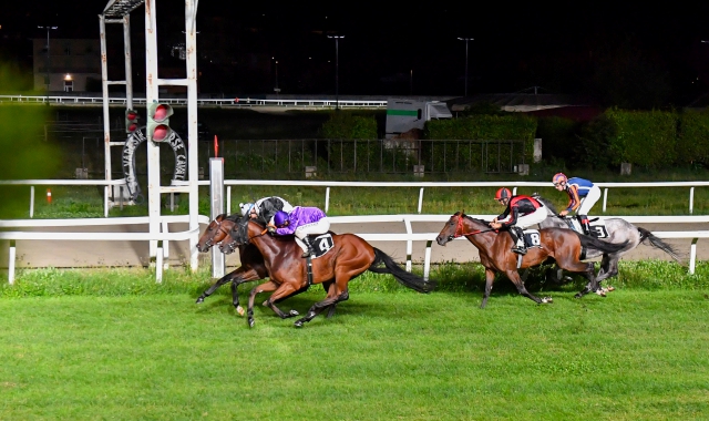 Some Respect taglia per primo il traguardo (foto Stefano Benvegnù/BLITZ)