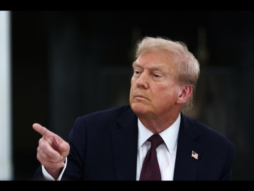 Trump, 'blitz Hyundai? Erano entrati in Usa illegalmente'