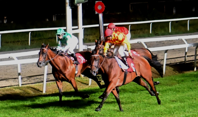 Charme de Chat vince la corsa (foto Stefano Benvegnù/BLITZ)