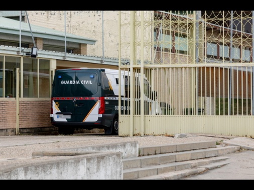 Uccide cane della compagna, condannato per violenza di genere
