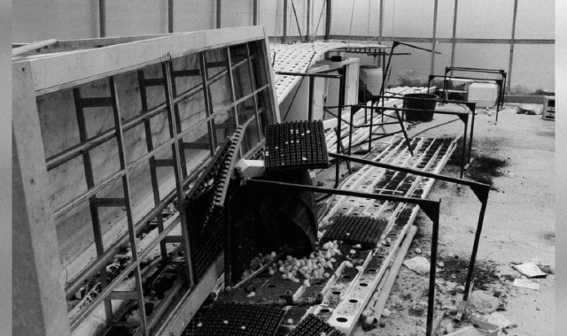 Vandali all’istituto agrario di Lesa