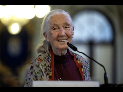 Morta a 91 anni la celebre etologa Jane Goodall