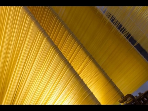 Allarme Consumatori, con dazi rincari pasta anche in Italia