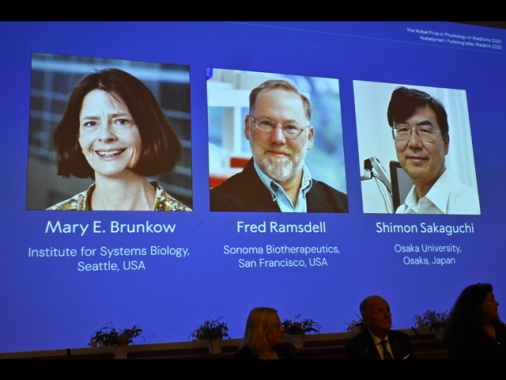 Nobel Medicina a Brunkow, Ramsdell e Sakaguchi