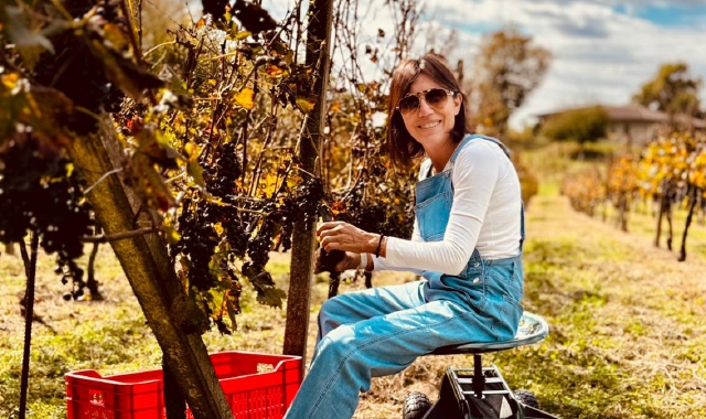 Vino varesino: 80.000 bottiglie