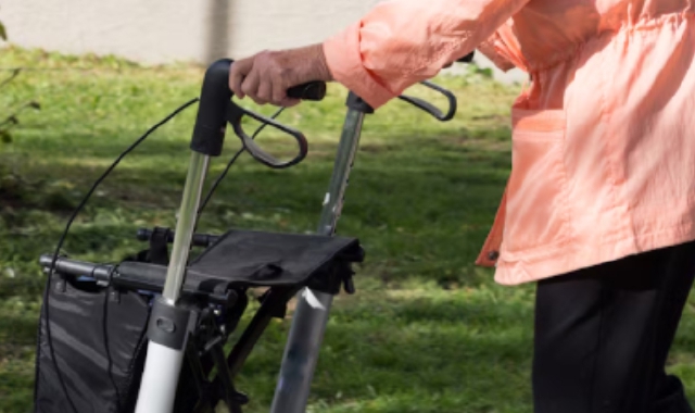 L’anziana a processo per minaccia  e percosse respinge le accuse: «Mi muovevo col deambulatore»