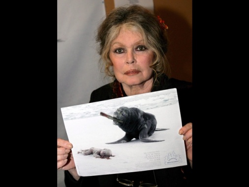 Brigitte Bardot dimessa dalla clinica dopo intervento chirurgico