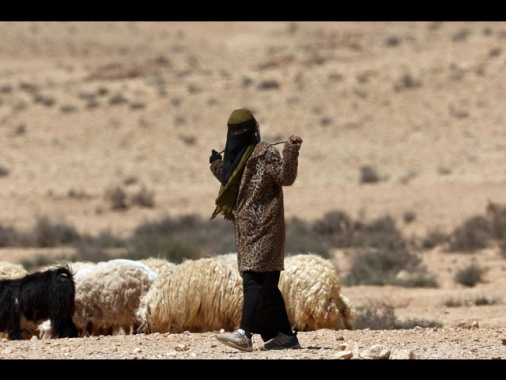 Idf conferma raid Rafah 'dopo missile anticarro su truppe'