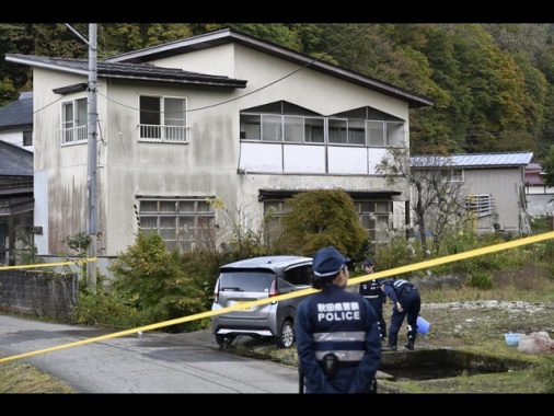 Allarme orsi in Giappone, crescono gli attacchi agli uomini