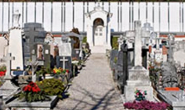 Razzia di vasi e piante. Cimitero nel mirino