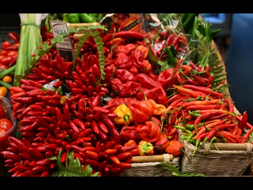 Inflazione Ocse stabile al 4,2% a settembre, Italia all'1,6%