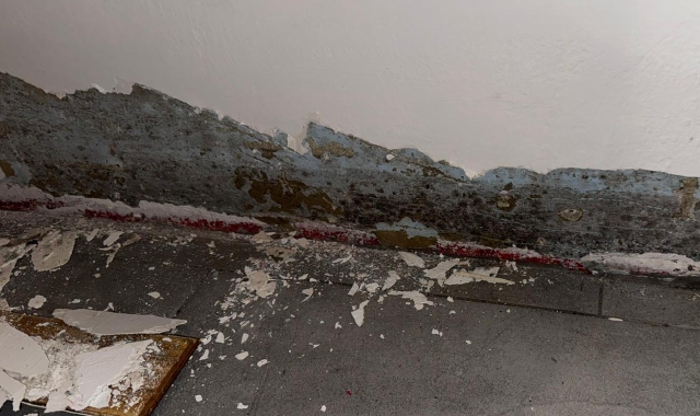 Nelle immagini sono ben visibili i danni provocati dall’estensione della muffa sulle pareti