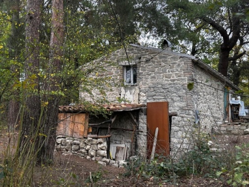 Casa nel bosco: Ministero, rispettato l'obbligo scolastico