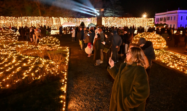Lo spettacolo di luci ai Giardini Estensi (foto Angelo Puricelli) 