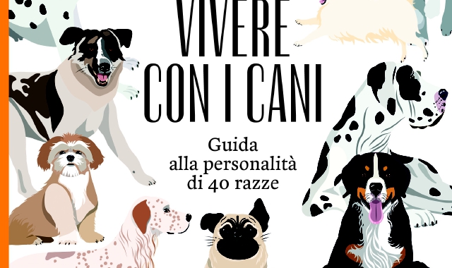In questa pagina alcune illustrazioni di Valentina Gottardi che si trovano all’interno del libro