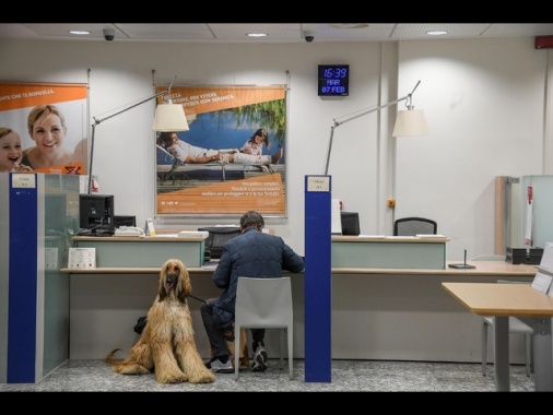 Consob, crescita a doppia cifra degli utili per le banche quotate, a 16,7 miliardi